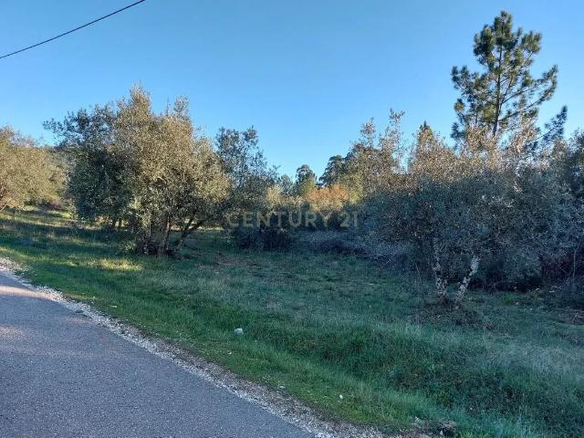 Terreno Redinha || Redinha || Pombal