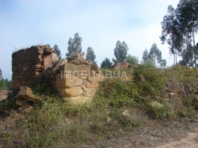Terreno relativamente plano com uma ruína em pedra e oliveiras