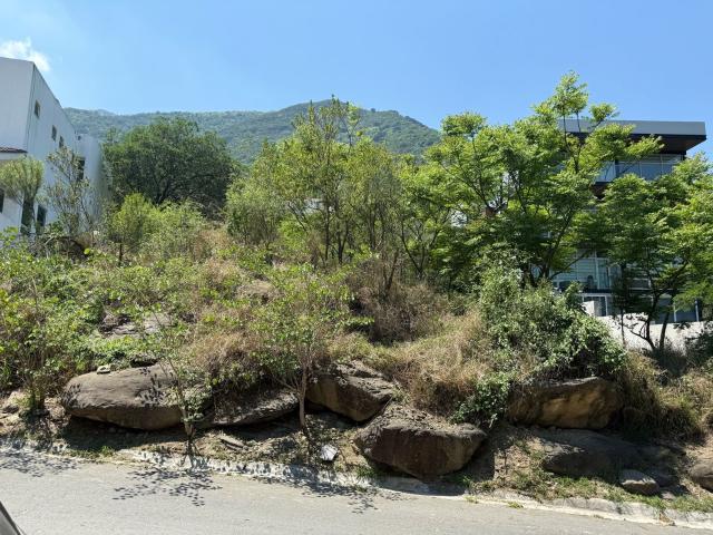 Terreno Renacimiento