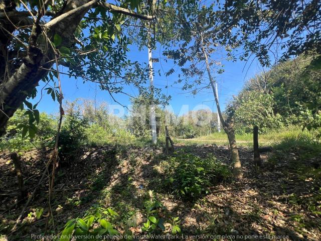 Terreno Renta Venta 5054m2 en Congregacion Chacoaco, Tuxpan, Ver