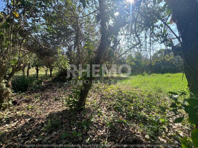 Terreno Renta Venta 5054m2 en Congregacion Chacoaco, Tuxpan, Ver