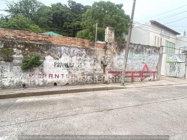 Terreno Renta 1,100 m2 en Papantla, Ver