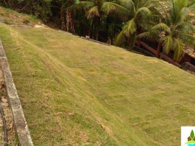 Terreno residencial à venda, Curral, Ilhabela