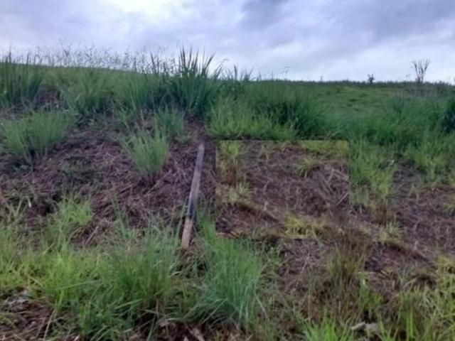 Terreno residencial à venda, Alto da Ponte, São José dos Campos