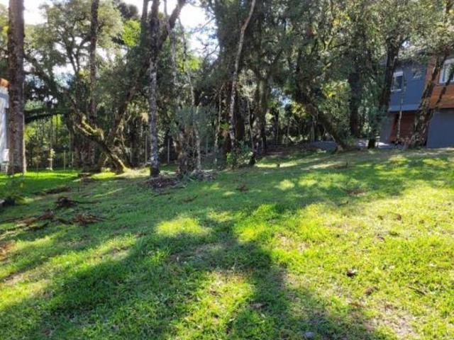 Terreno Residencial à venda, Altos Pinheiros, Canela