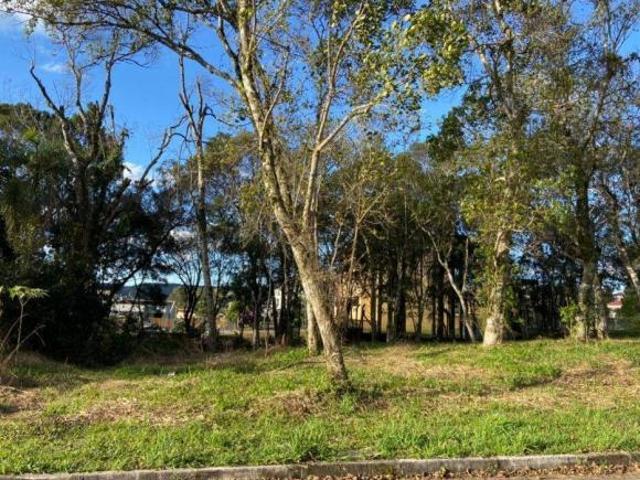 Terreno Residencial à venda em Pousada da Neve