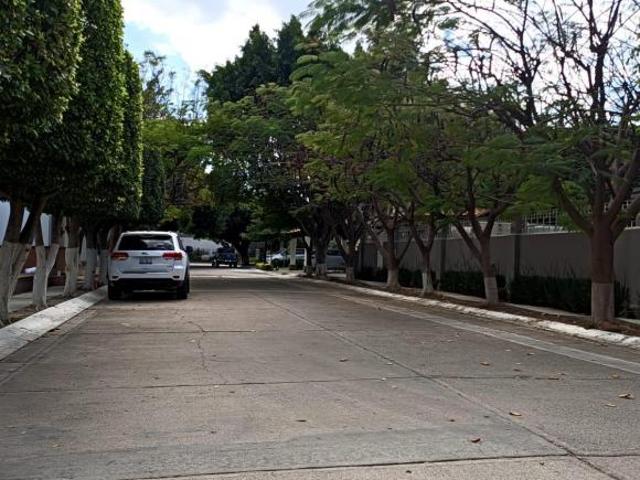 Terreno Residencial Alameda