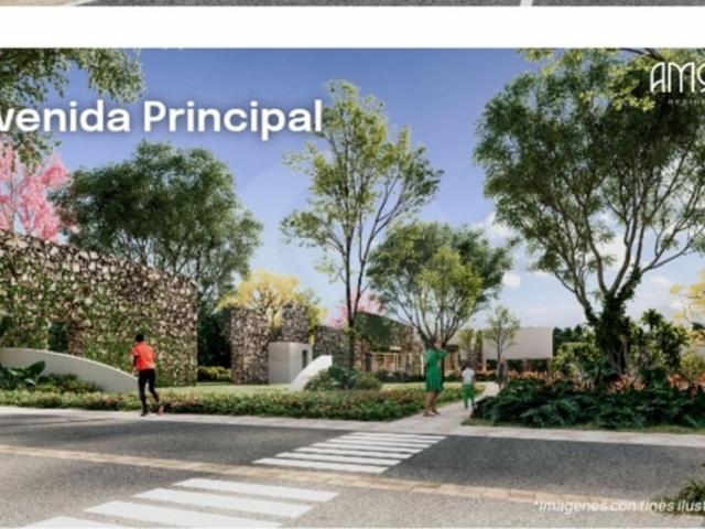 Terreno Residencial Amora en venta en Ciudad Izamal