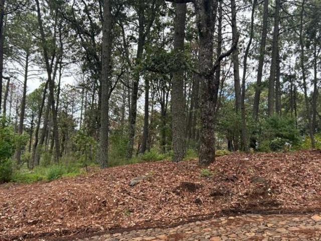 Terreno Residencial Campestre Fraccionamiento Bosques de la Cañada, Tapalpa, Jal
