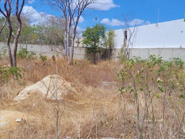Terreno residencial con amenidades, en venta en Privada Olivia, Mérida