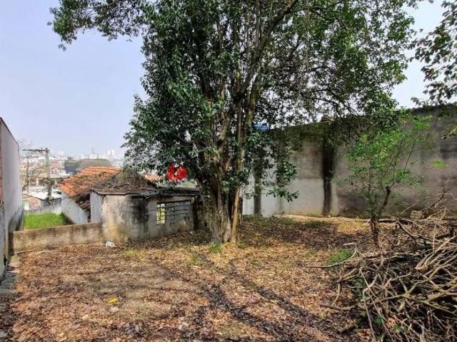 Terreno à venda, Nova Gerty, São Caetano do Sul, SP