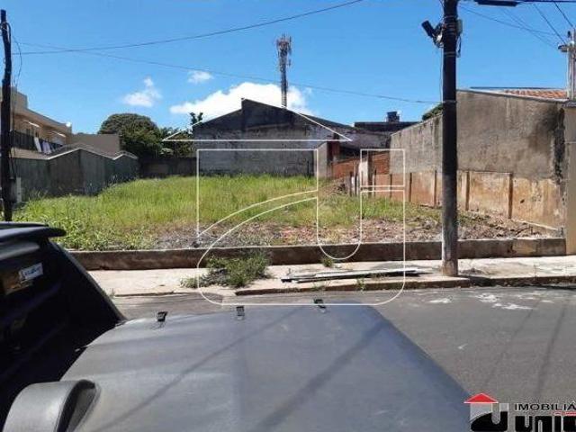 Terreno Residencial em Alto Cafezal Marília, SP