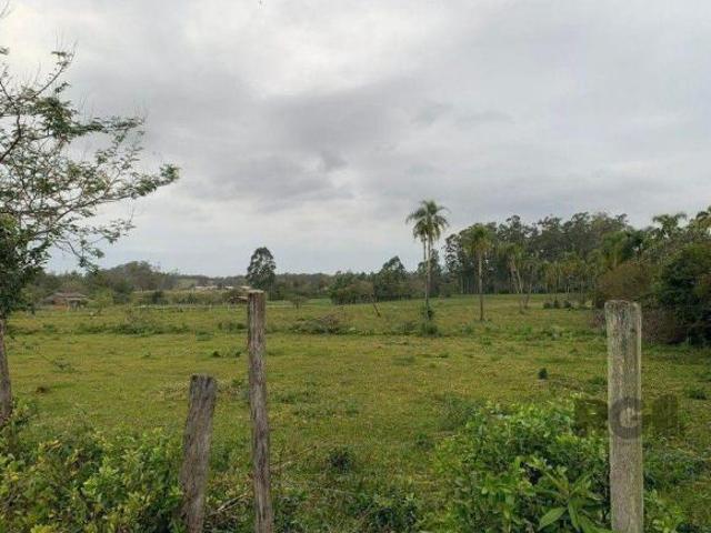 Terreno Residencial em Centro