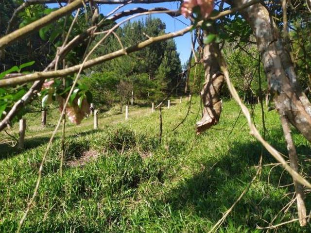 Terreno Residencial em Extrema