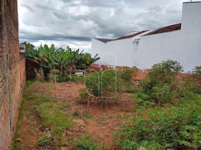 Terreno Residencial em Jardim Marajo Marília