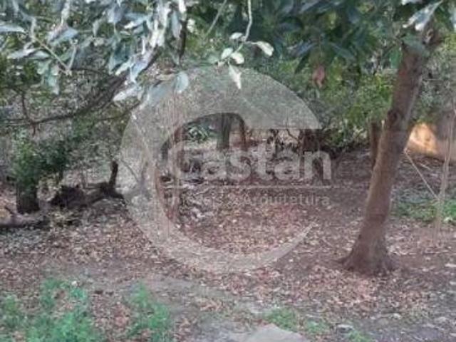 Terreno Residencial em VILA PRUDENTE