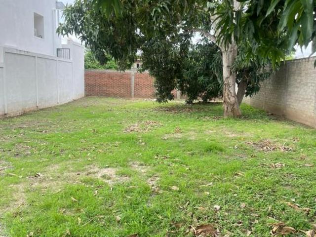 Terreno Residencial en Bucerias Coto Los Mangos