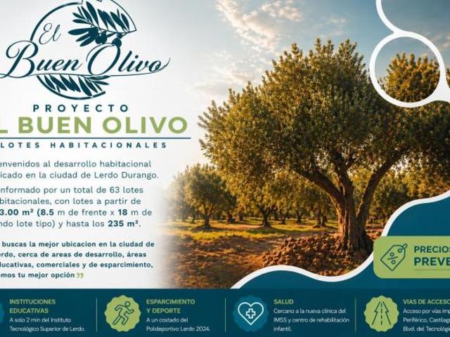 TERRENO RESIDENCIAL EN EL BUEN OLIVO, LERDO DURANGO