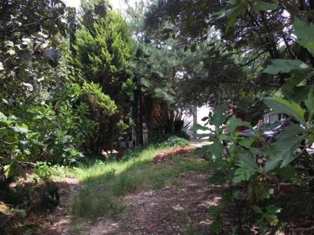 Terreno residencial en El Cielo Country Club, El Palomar