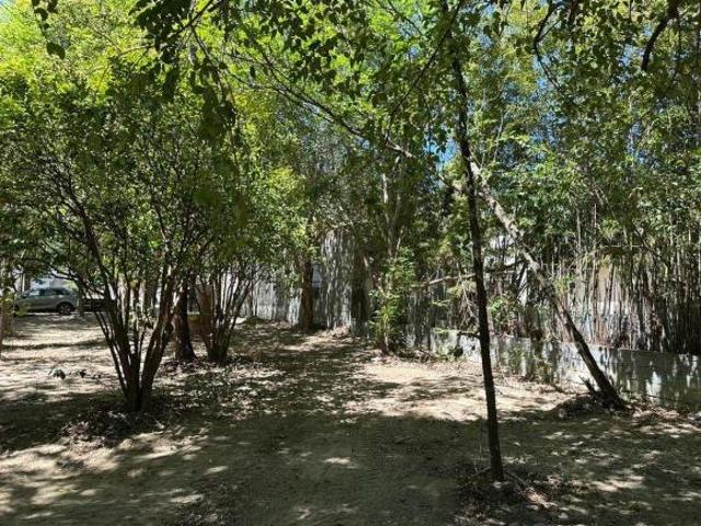 TERRENO RESIDENCIAL EN SANTIAGO VENTA