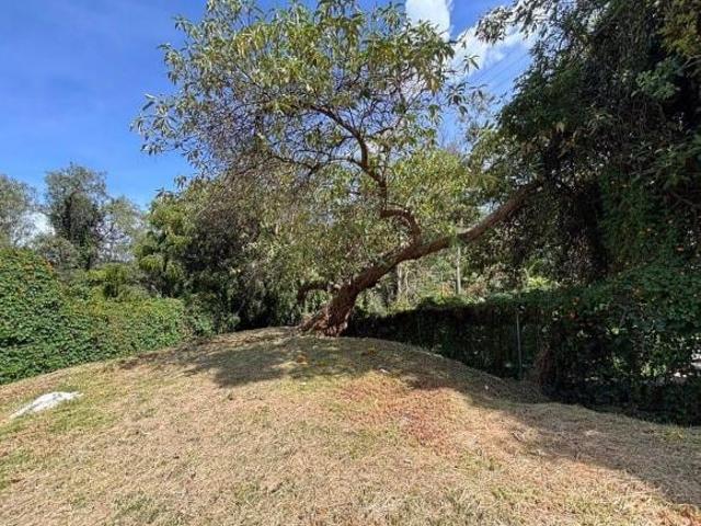 TERRENO RESIDENCIAL EN VENTA OPORTUNIDAD 465m SEMI PLANO LOMAS DE TECAMACHALCO