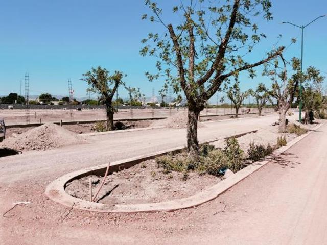 TERRENO RESIDENCIAL EN VENTA EL FONTANAL, TORREON, COAH