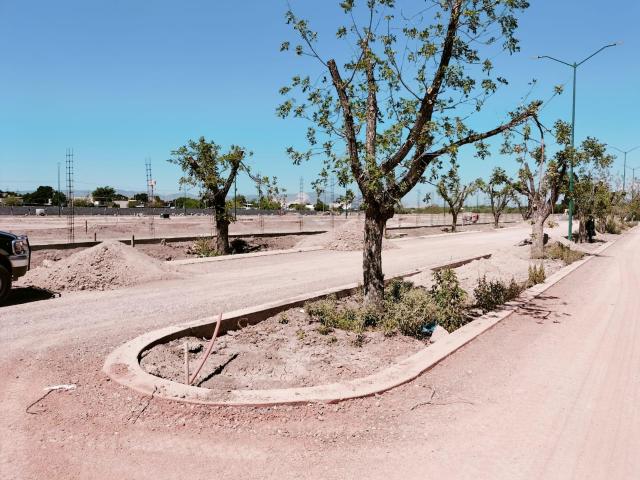 TERRENO RESIDENCIAL EN VENTA EL FONTANAL, TORREON, COAH