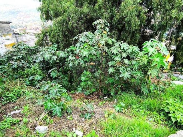 Terreno residencial en venta en Ahuehuetes