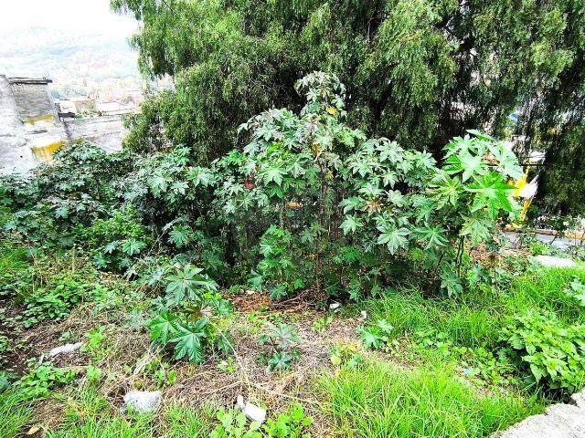 Terreno Residencial en venta en Ahuehuetes
