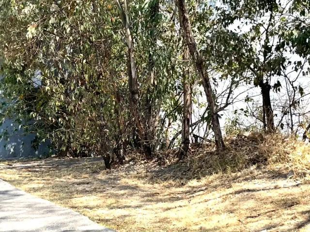 Terreno Residencial en Venta en Bosque Real, Huixquilucan