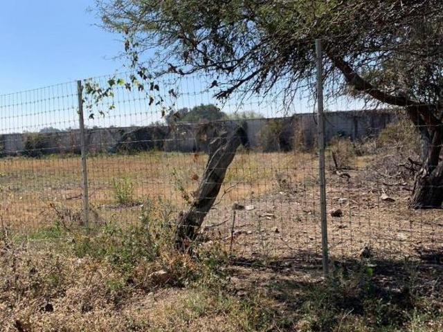 Terreno residencial en venta en Chapala Centro