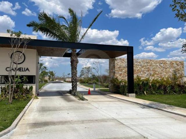 Terreno residencial en venta en Cholul