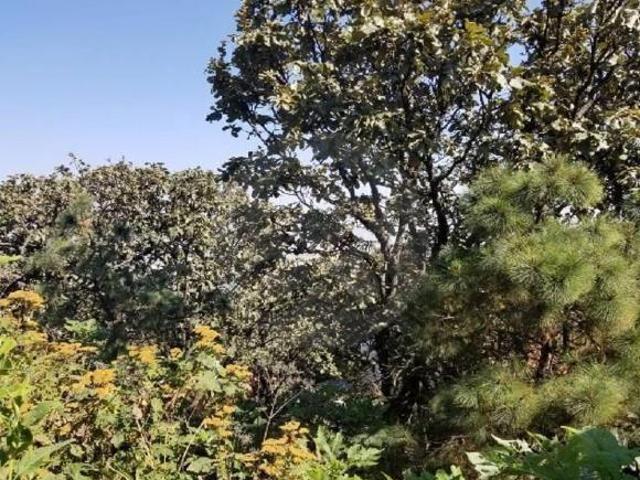 Terreno residencial en venta en El Palomar