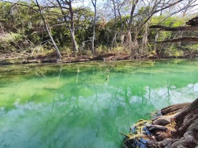 Terreno residencial en venta en El Porvenir, Allende, Nuevo León