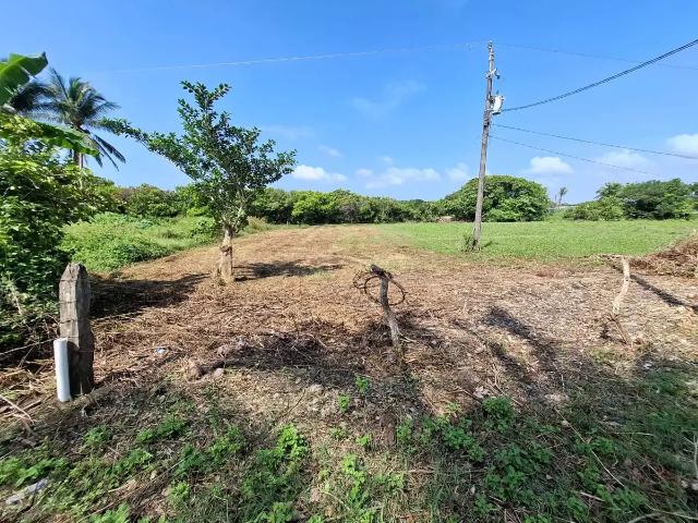 Terreno residencial en venta en El Zapote, Alvarado, Veracruz