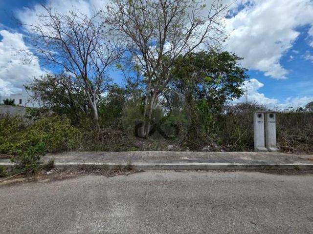 Terreno residencial en venta en Fraccionamiento Floresta