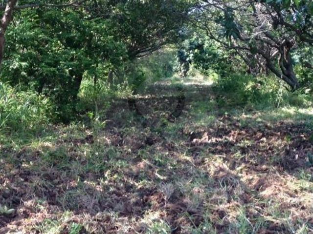 Terreno residencial en venta en Ixtapa Centro
