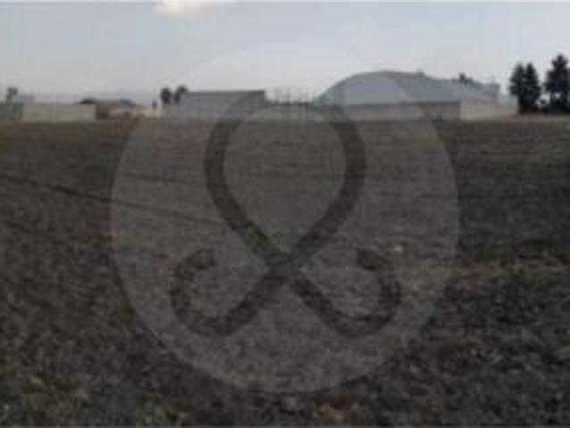 Terreno residencial en venta en La Constitución Totoltepec