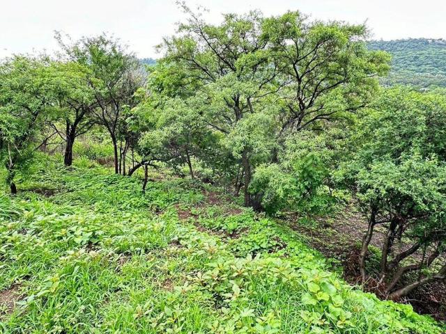 Terreno Residencial en venta en Las Ca?adas