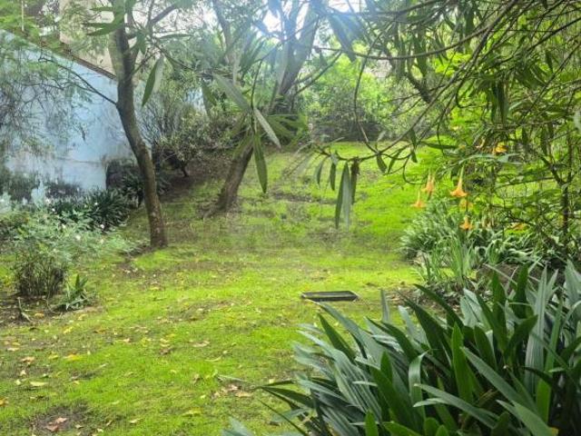 Terreno residencial en venta en Lomas Quebradas