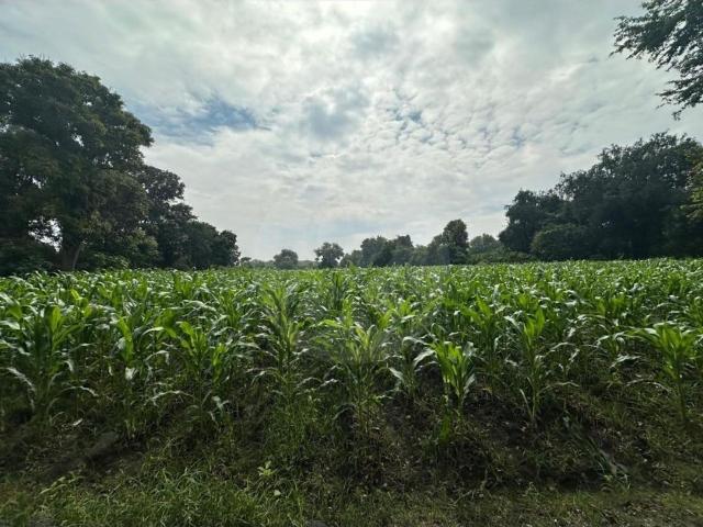 Terreno Residencial en venta en Pueblo Itzamatitl?n