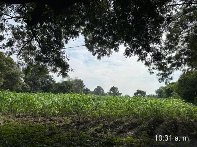 Terreno Residencial en venta en Pueblo Itzamatitl?n