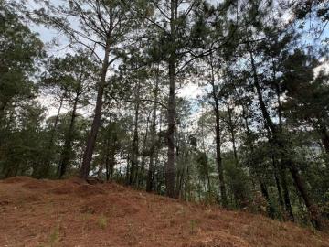 Terreno residencial en venta en Pueblo Mazamitla