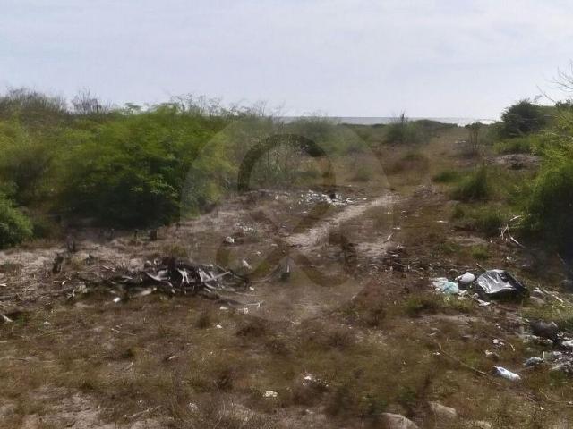 Terreno Residencial en venta en Pueblo Novillero
