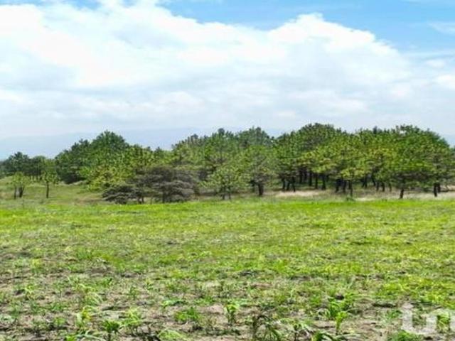 Terreno residencial en venta en Pueblo San Pedro Tenango