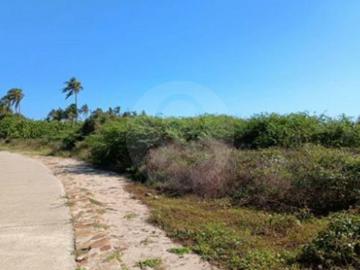 Terreno residencial en venta en Plan de los Amates