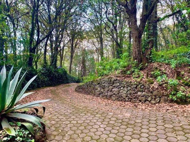 Terreno residencial en venta en San Andrés Totoltepec