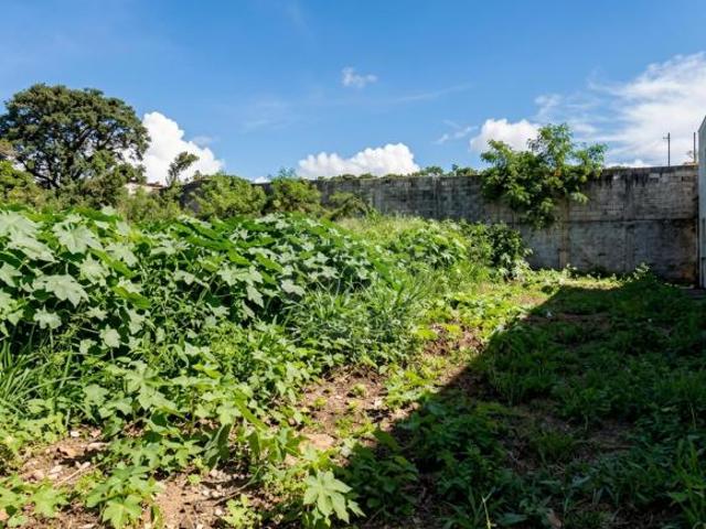 Terreno residencial en venta en San Francisco de Campeche Centro