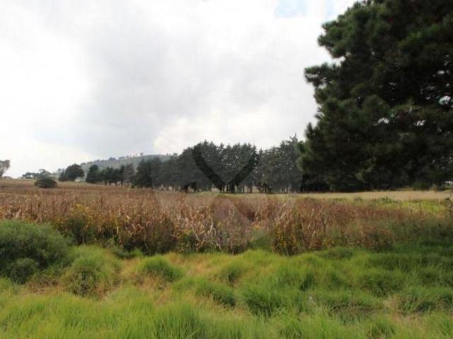 Terreno residencial en venta en San Mateo Tlalchichilpan