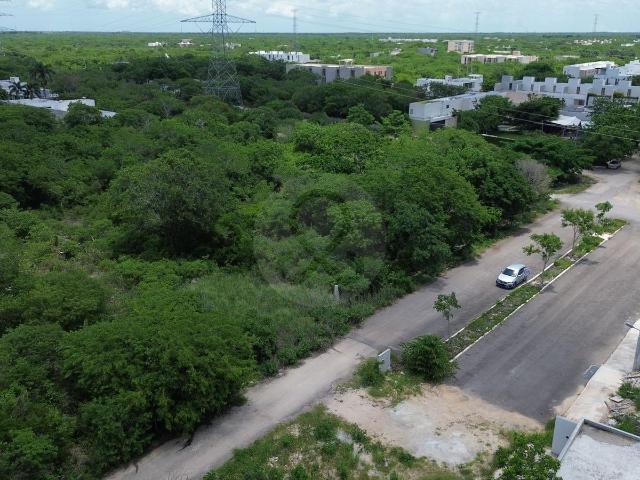 Terreno Residencial en venta en Temoz?n Norte